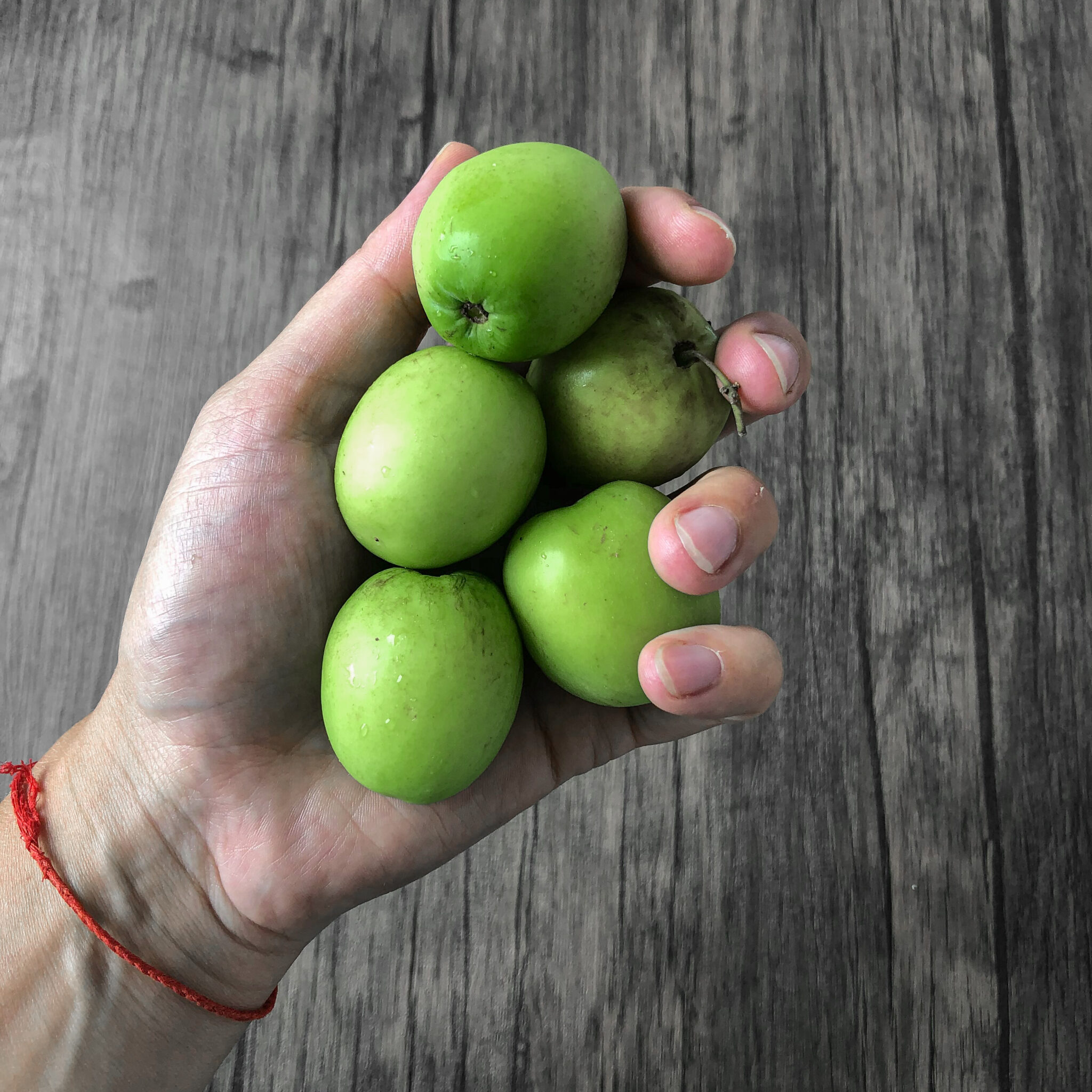 How Can You Use Green Plums?[Green Plum Pickles Recipe]