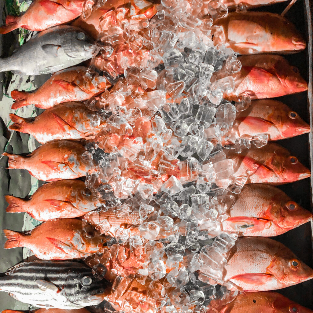 Salmon fish market 