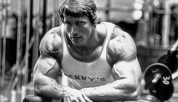 Arnold Schwarzenegger diet